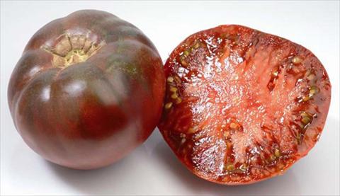 photo of flower to be used as: Pot, bedding, patio Solanum lycopersicum (pomodoro) Black Krim